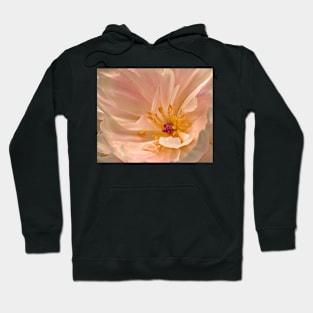 A Sexy Blush Hoodie